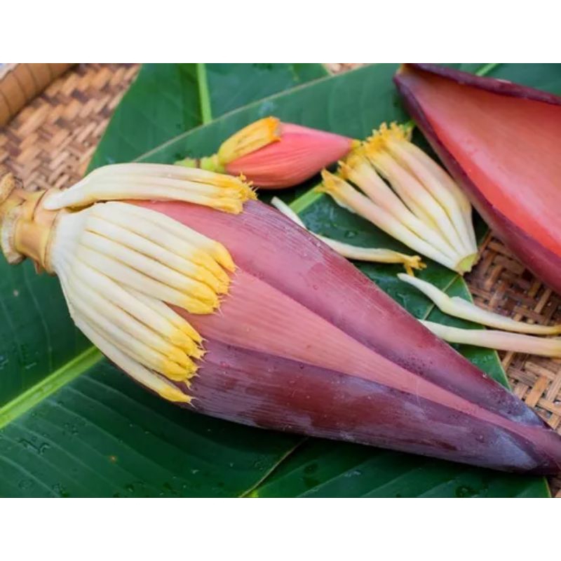 

jantung pisang harga per biji