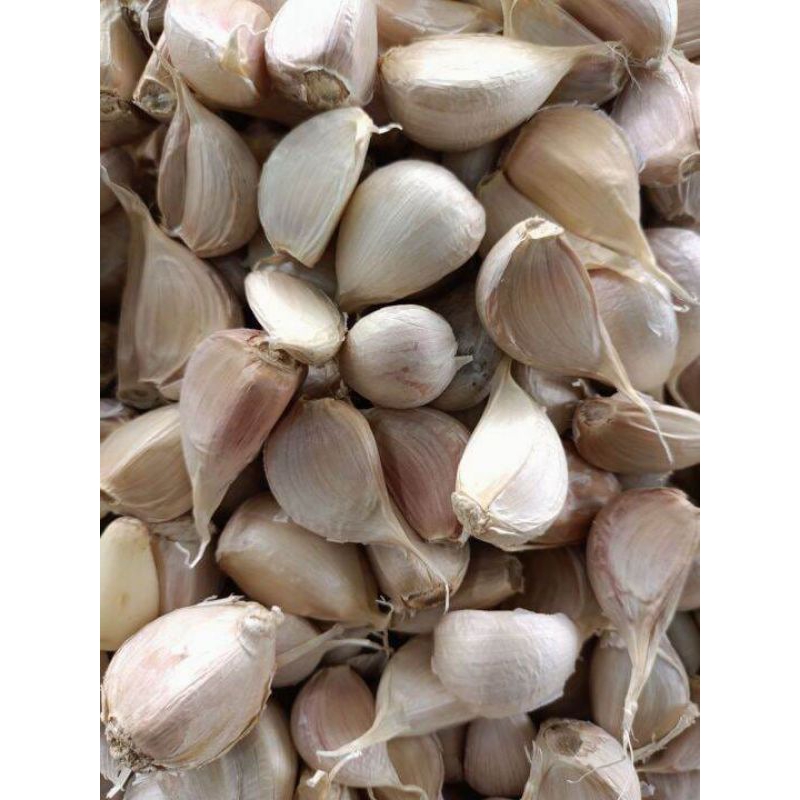 

Bawang putih kating 1kg