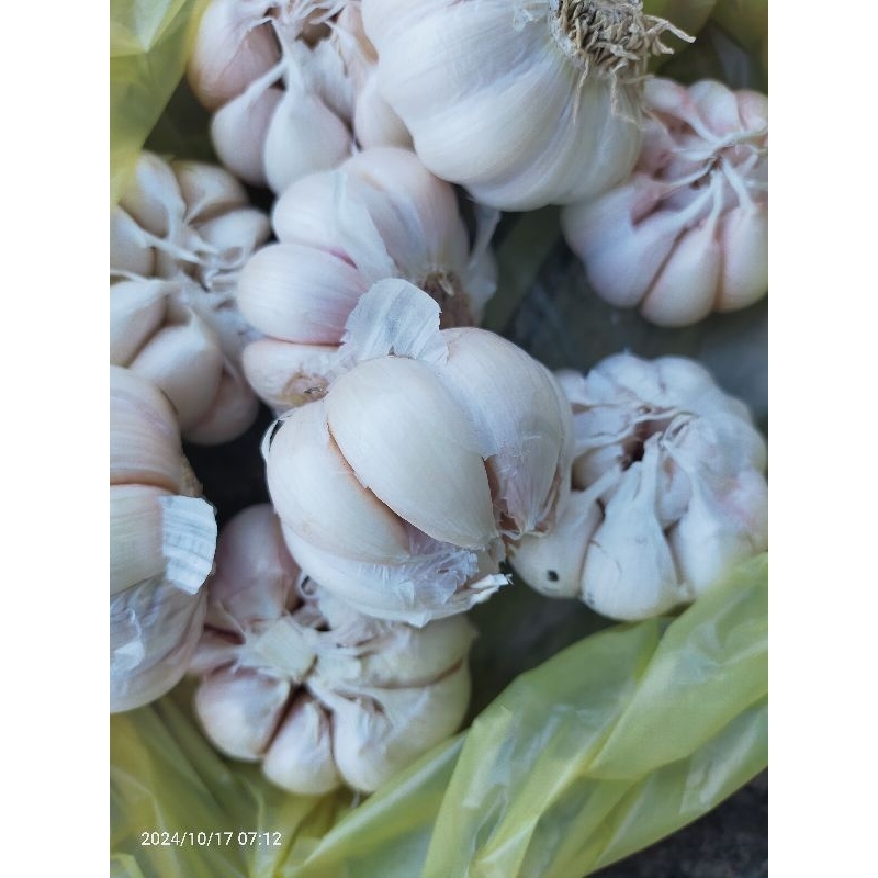 

bawang putih