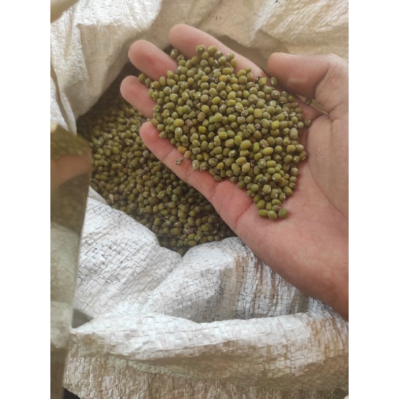 

kacang ijo lokal super