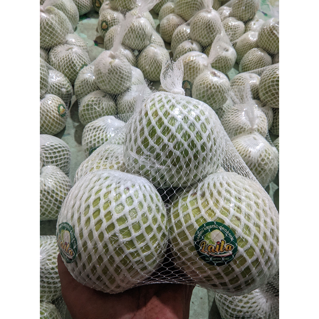 

Jambu kristal Kebumen non biji kualitas Supermarket