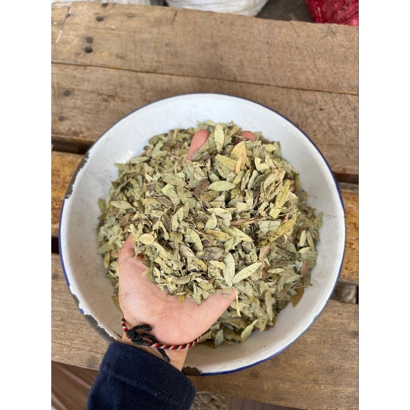 

DAUN JATI CINA KERING MURAHH!