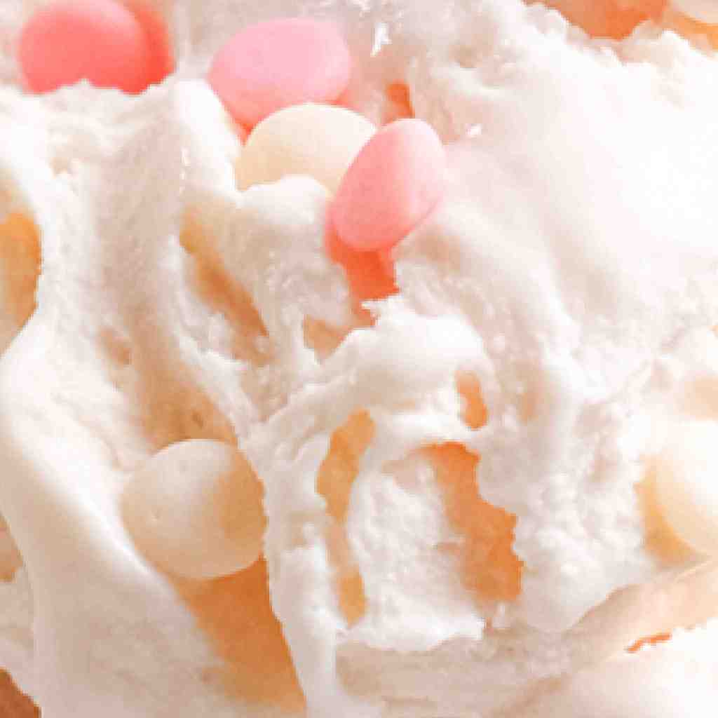 

Gelato Cup 250gr - Frutta Gelato