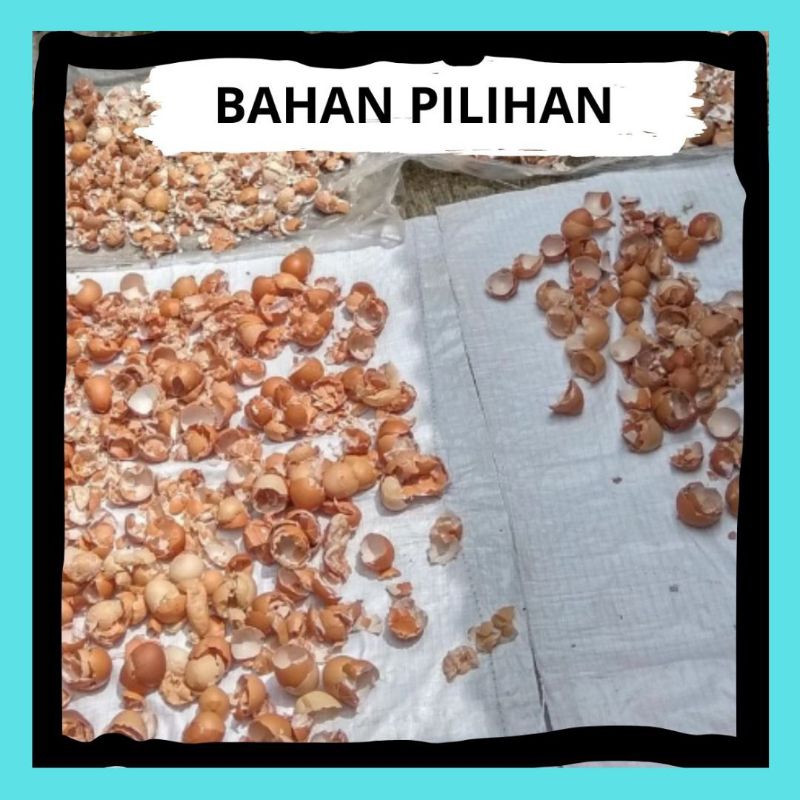 BARANG SUPER.. Tepung Halus Cangkang Telur
