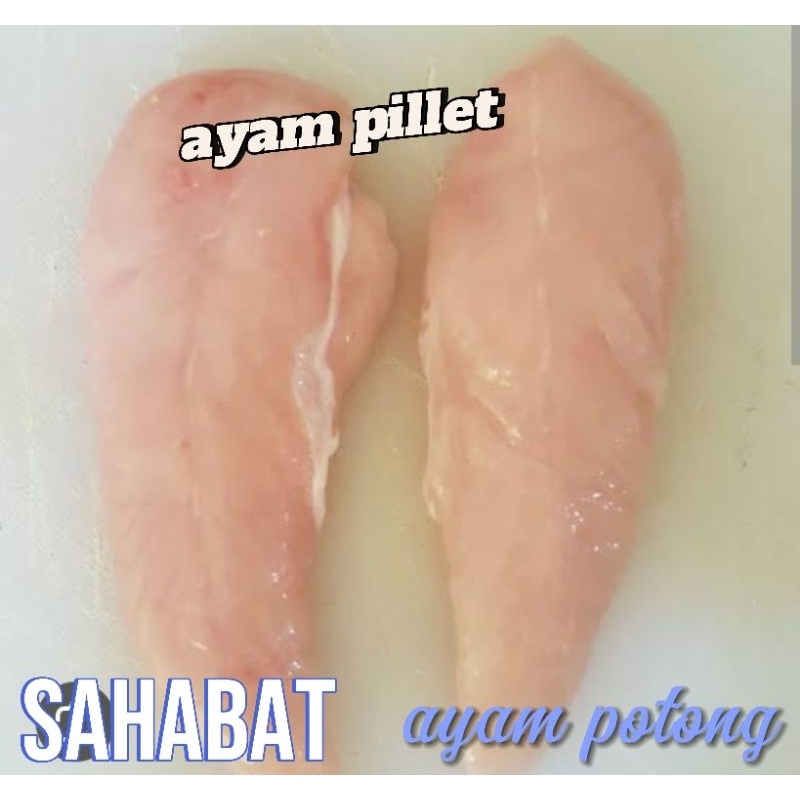 

ayam pillet