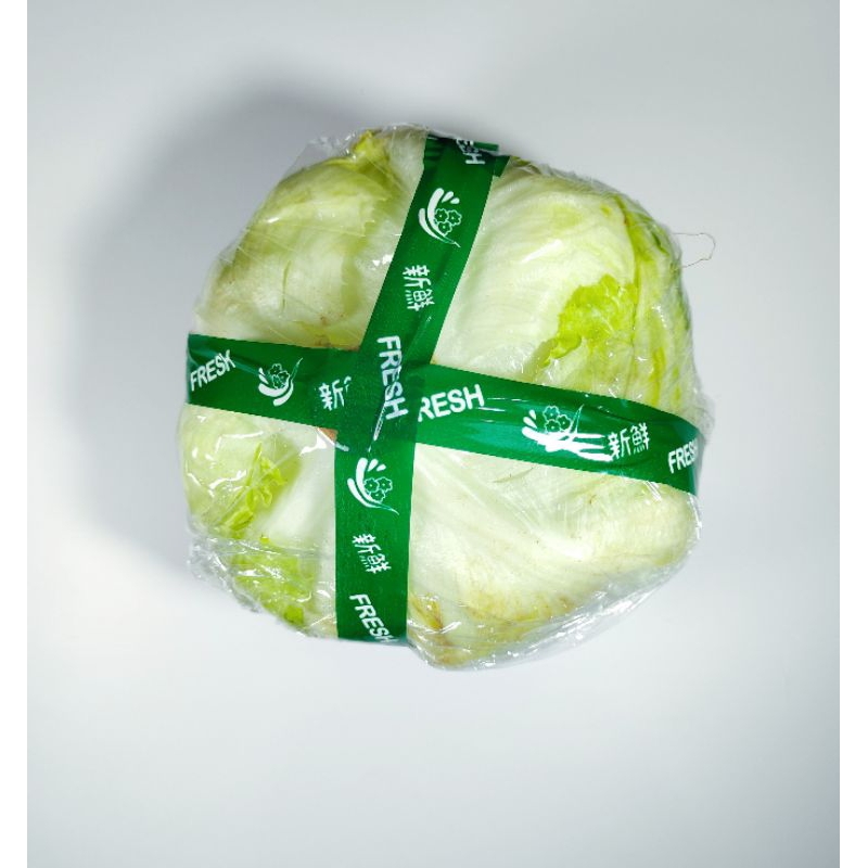 

Selada Lettuce