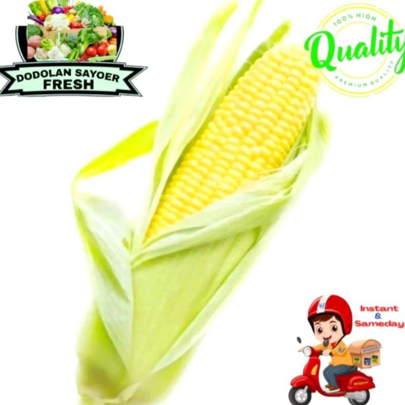 

Jagung manis/madu Fresh pilihan