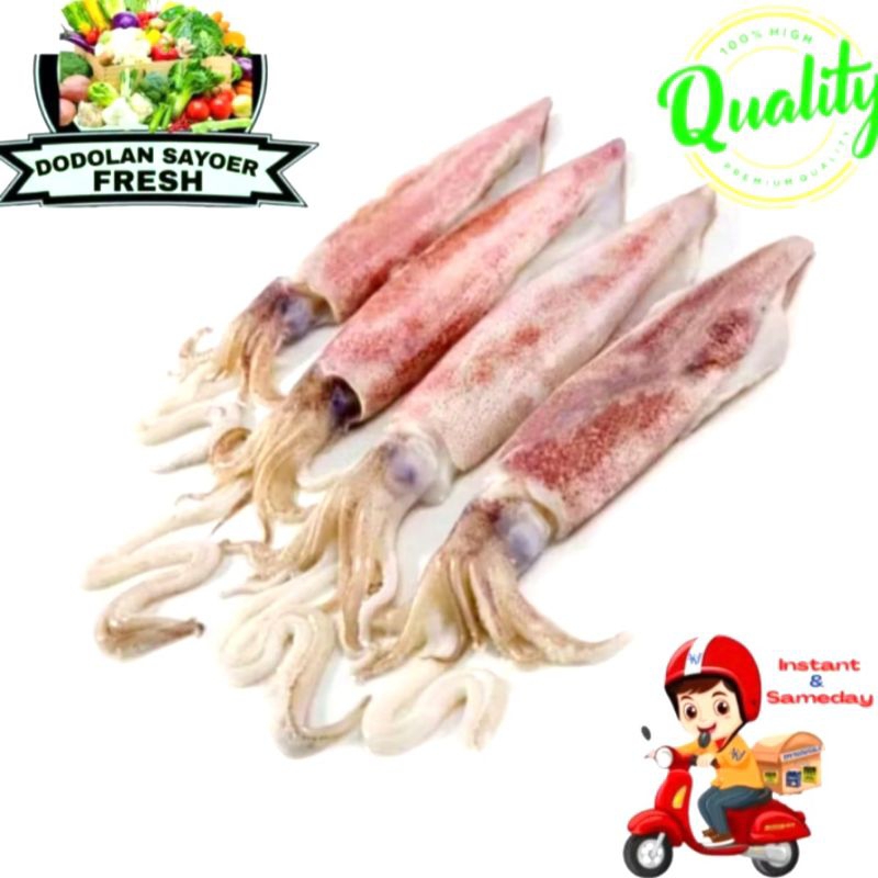 

Cumi basah /cumi Fresh pilihan