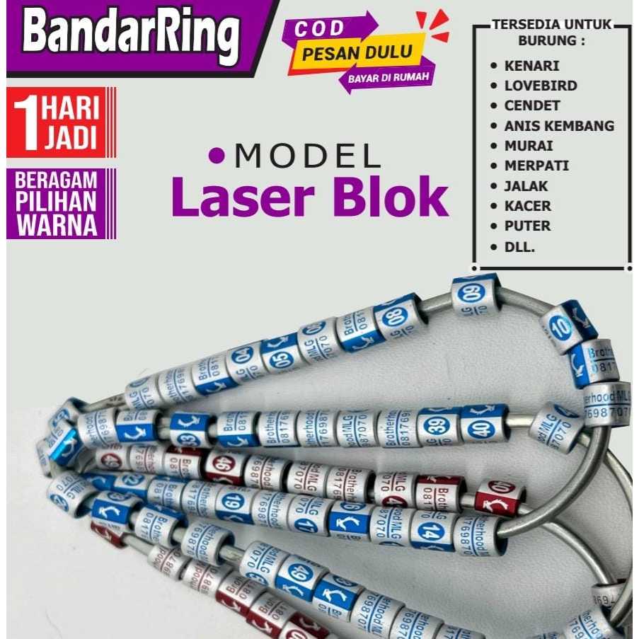 Ring Burung  model Laser winner laser blok kenari prenjak cigun kacer muraibatu kacer anis kembang p
