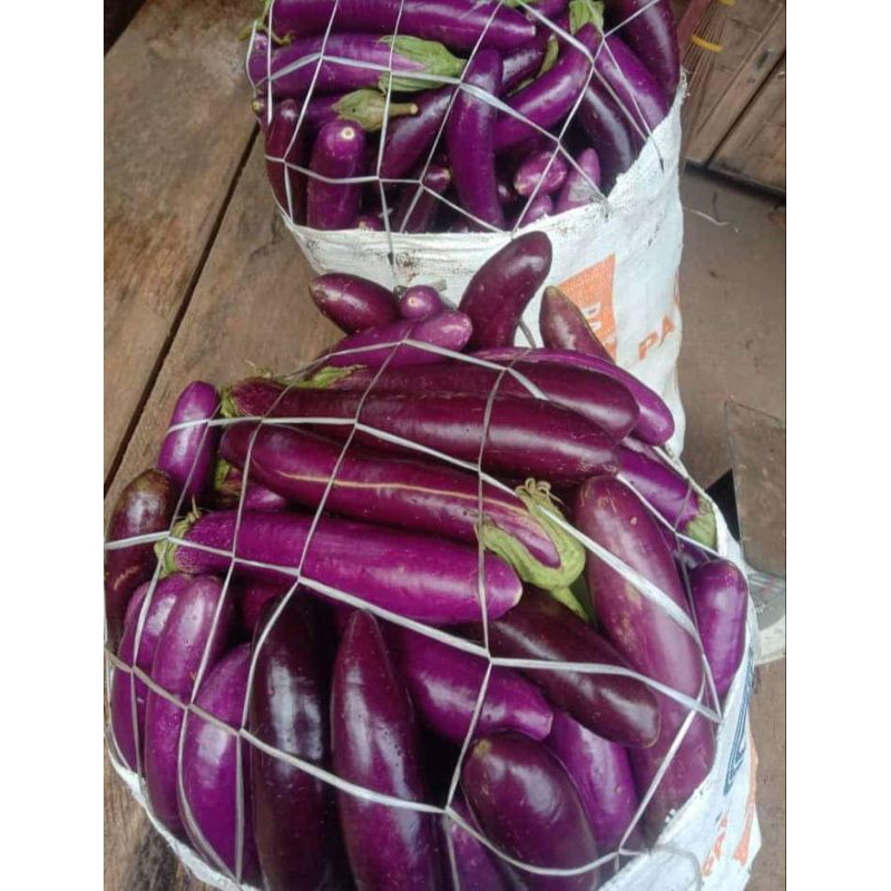 

Terong ungu/terong sayur(500g)