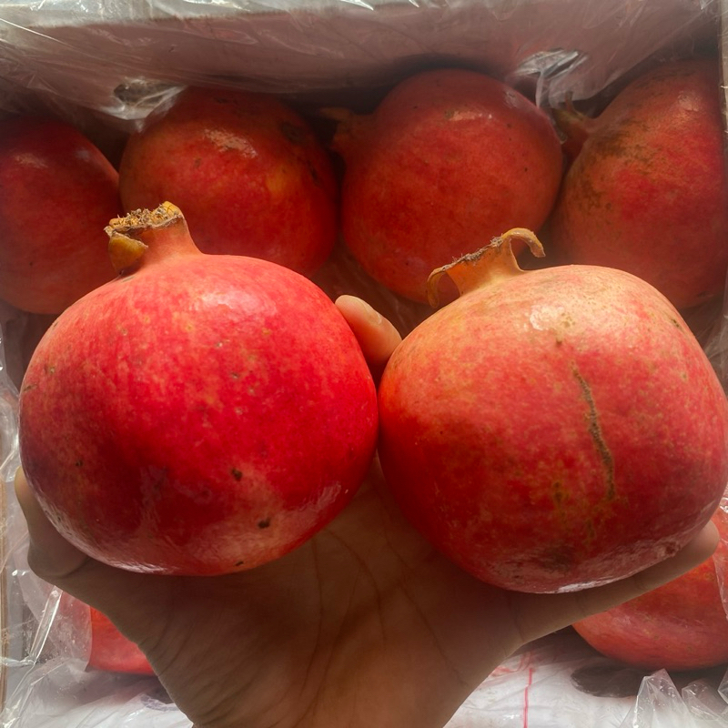 

RB Buah Delima (1 Buah) Import India I Fresh & Premium Bobee.Official - (Seluruh Indonesia)