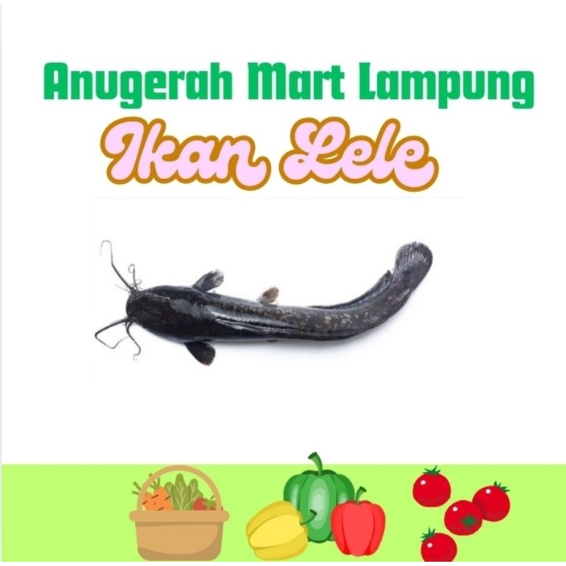 

Ikan Lele segar per kilo Anugerah Mart Lampung