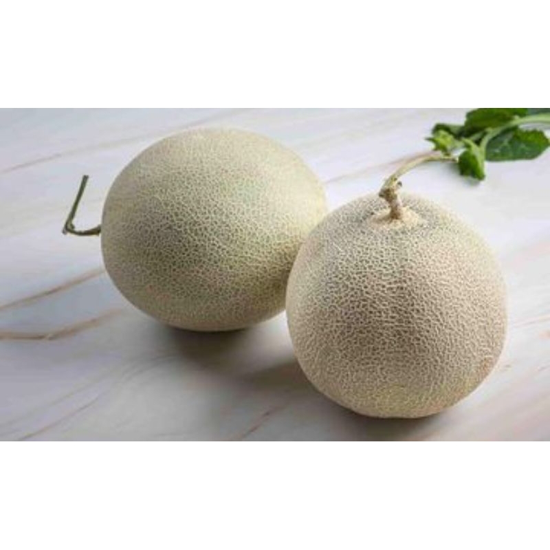 

SALE... MELON hijau 3kg. ORI