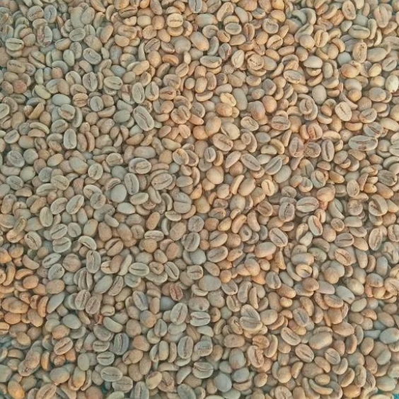 

Biji Kopi Arabica/Greenbean Arabica NATURAL CLASSIC SPECIALTY