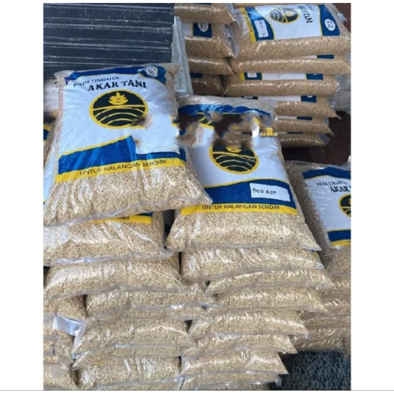 Benih padi 303 AGT original 5 KG