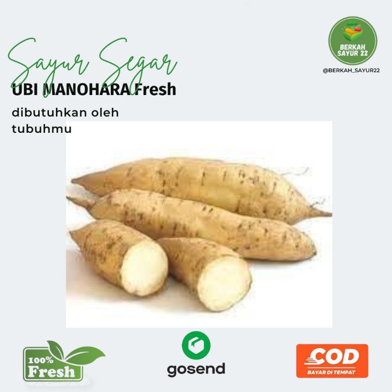 

BERKAH_SAYUR22 Ubi Manohara 1kg