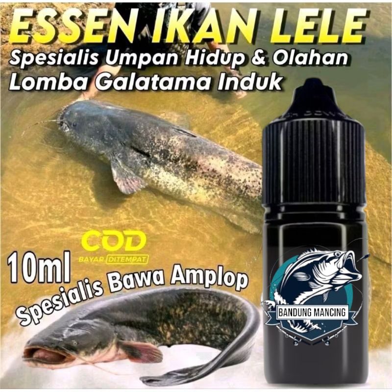 Essen Super Galatama Ikan Lele Paling Ampuh, Essen Oplosan Ikan Lele Aroma Amis Plus Extra Katilayu 