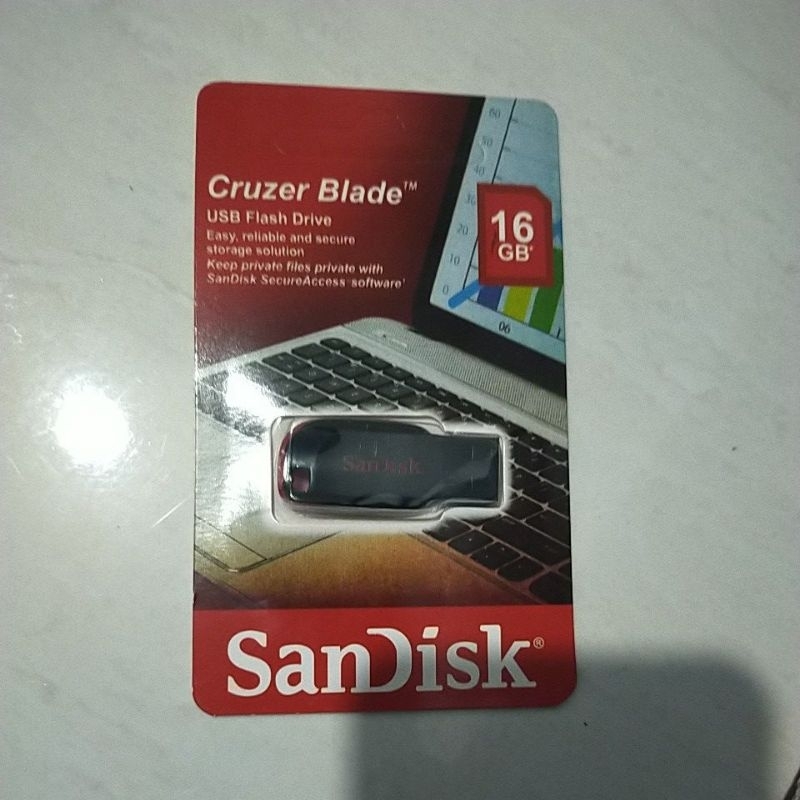 flashdisk SanDisk
