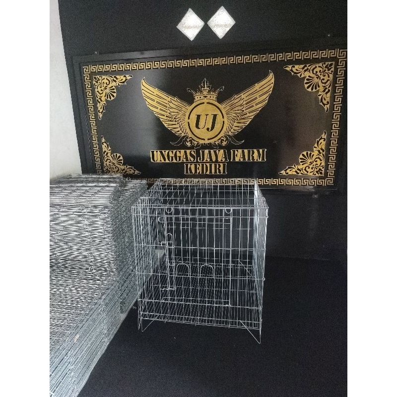 KANDANG BOX AYAM GALVANIS GALVANISE
