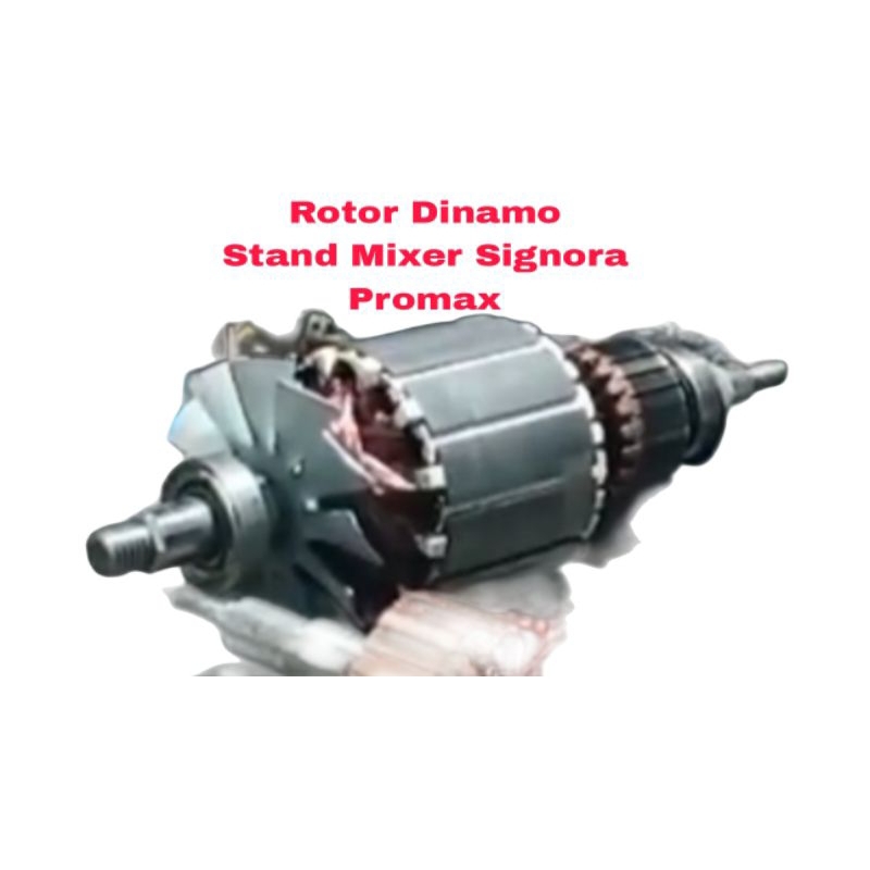 Rotor Dinamo Stand Mixer Signora Promax