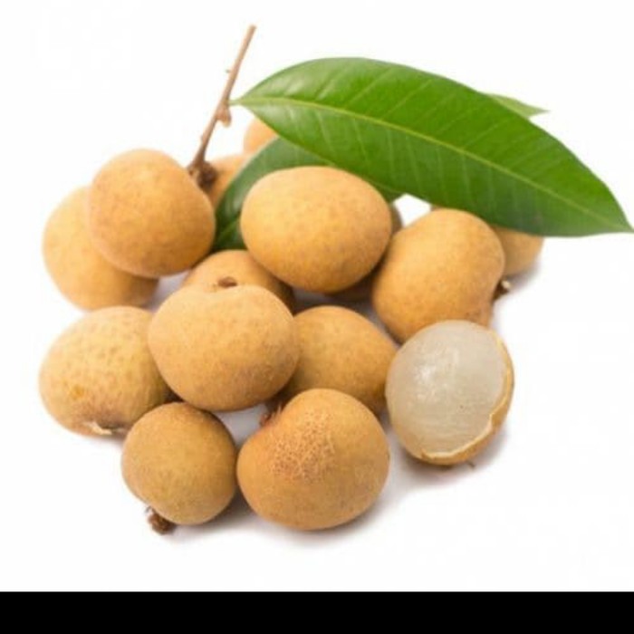 

LENGKENG BANGKOK 500 gram