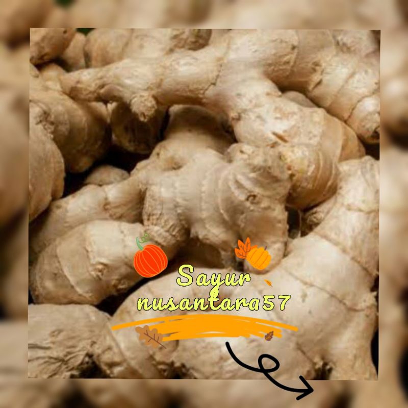 

jahe 500gr