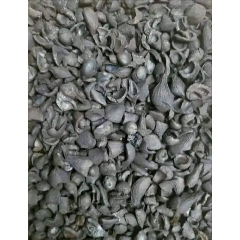 Arang Cangkang Sawit