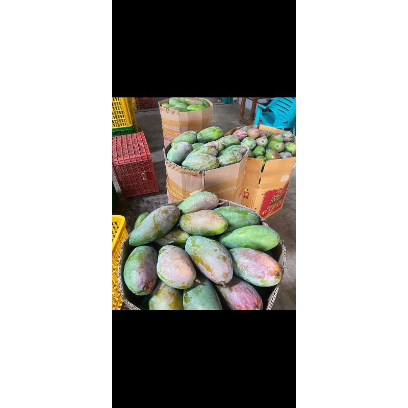 

mangga kinjoy 1kg