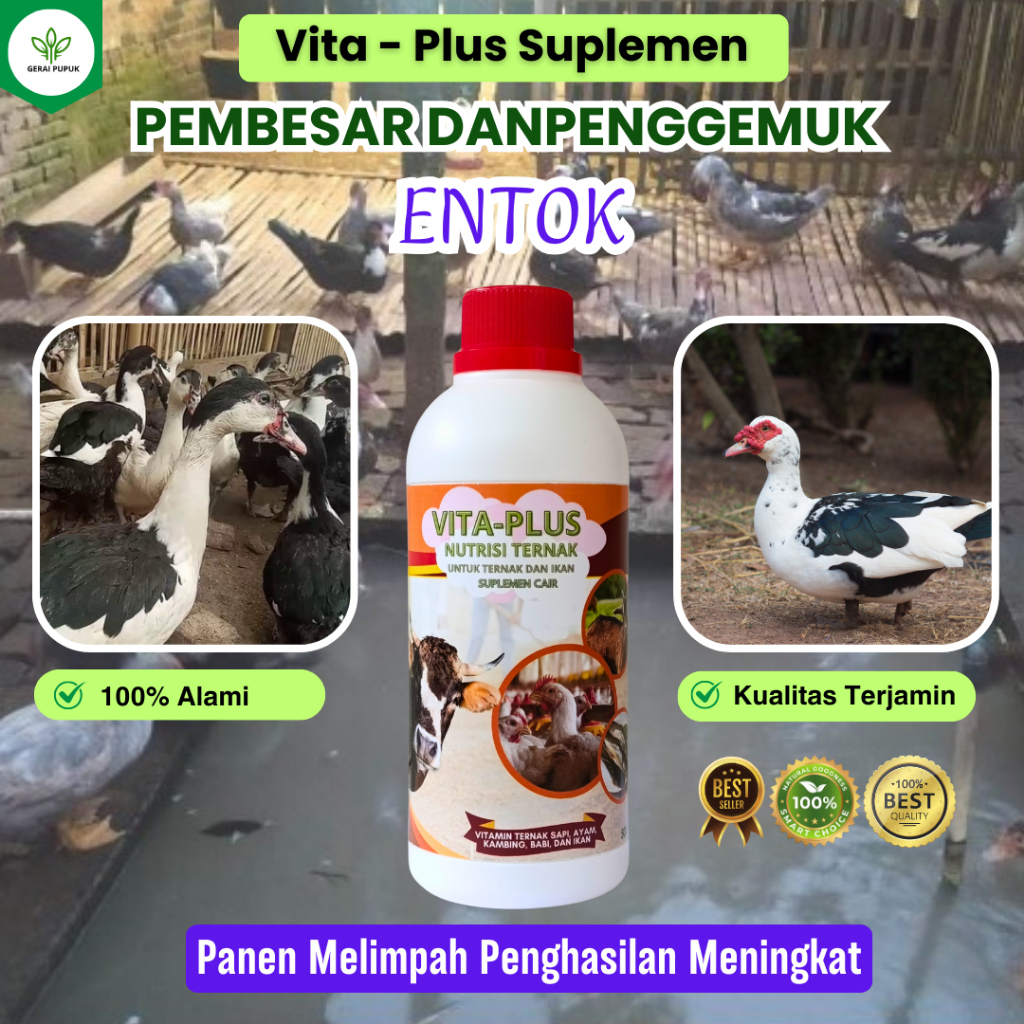 Vitamin Entok Cepat Besar | Vitamin Entok Cepat Bertelur | Vitamin Penggemuk Unggas Entok Super