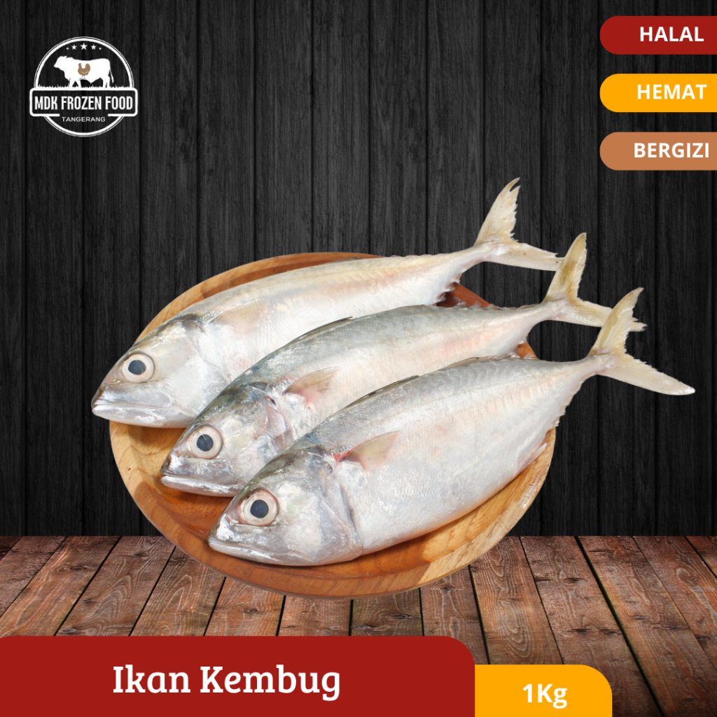 

Ikan Kembung Banjar Beku | Indian Mackerel Fish Frozen 1Kg