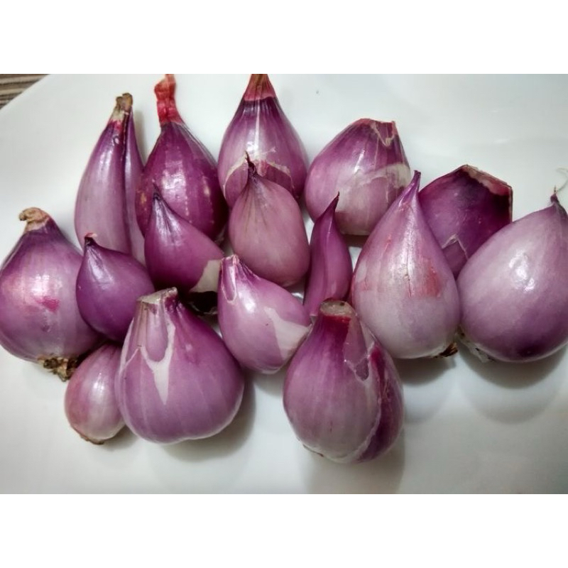 

BAWANG MERAH KUPAS BERSIH