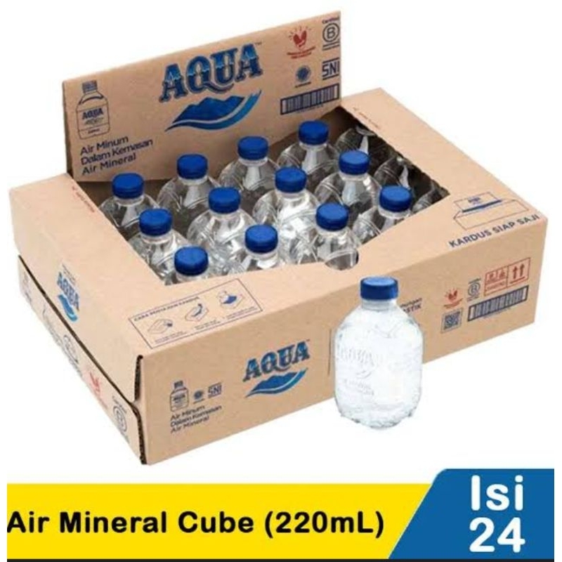 

AQUA CUBE CEBOL/AQUA BOTOL 220ML