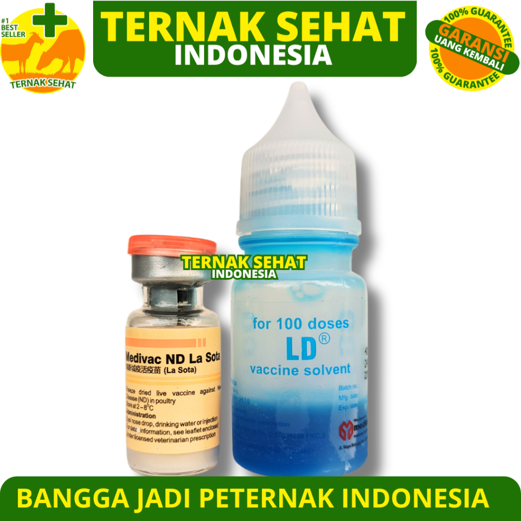 VAKSIN ND LASOTA DOSIS 100 EKOR + PELARUT MEDIVAC MEDION - Vaksin Ayam Tetes Mata Nd Lassota Tetelo