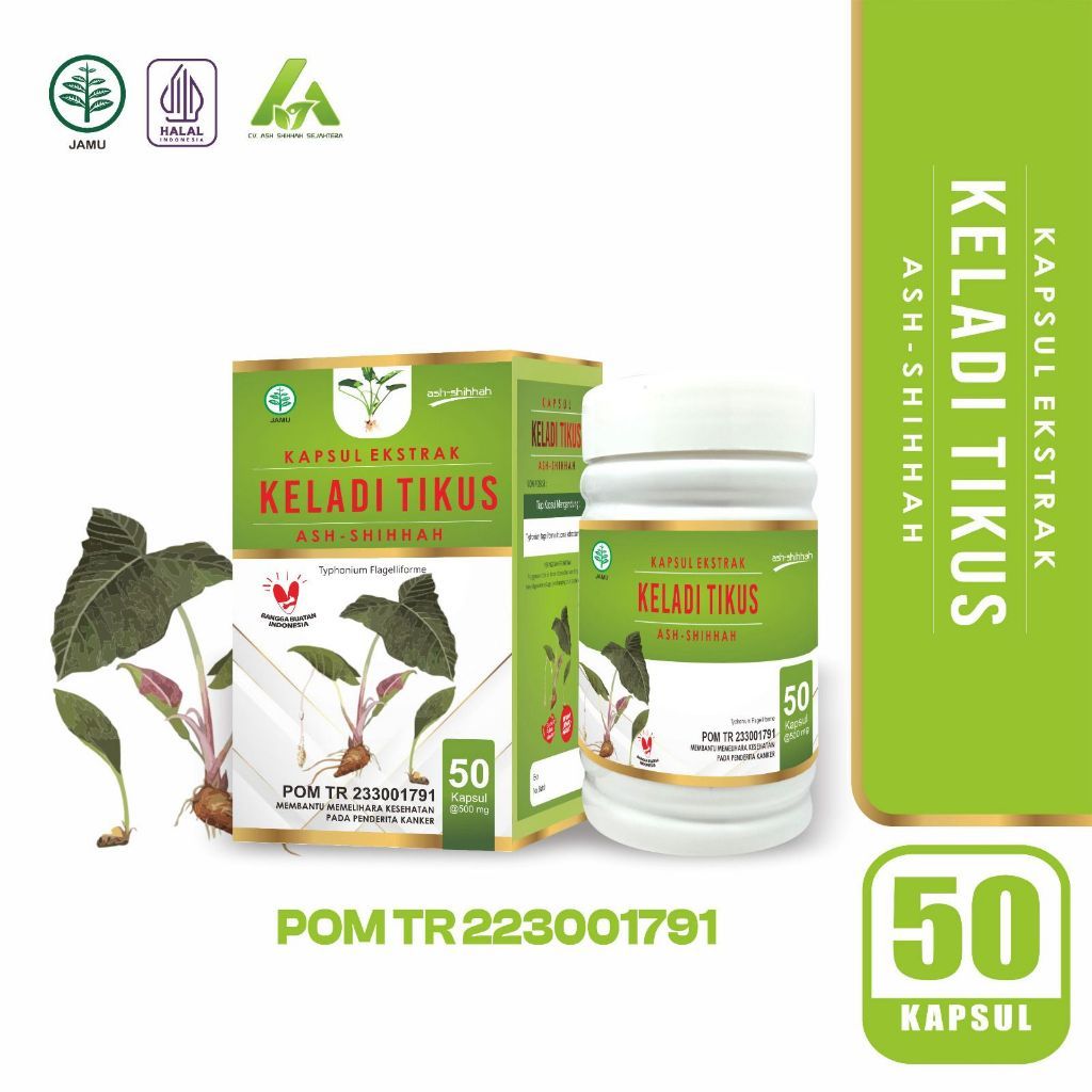 Ekstrak Keladi Tikus 50 Kapsul Obat Herbal Mengobati Gangguan Jantung Kangker Tumor Stroke (BPOM)