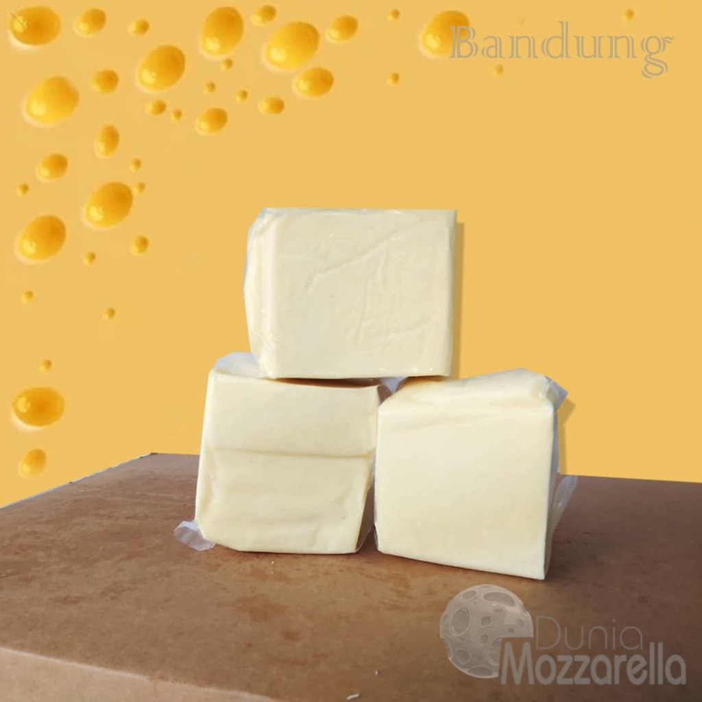 

Saputo Mozzarella Cheese Repackaging 1 Kg x 20