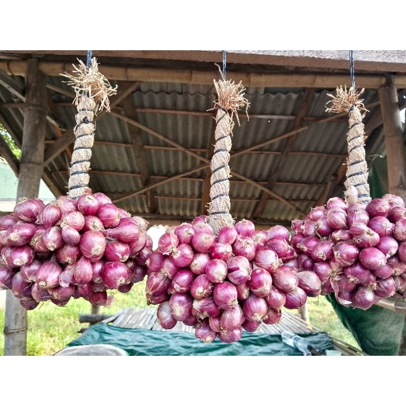 

Bawang Merah Probolinggo 1kg unting/gantung ( campur)