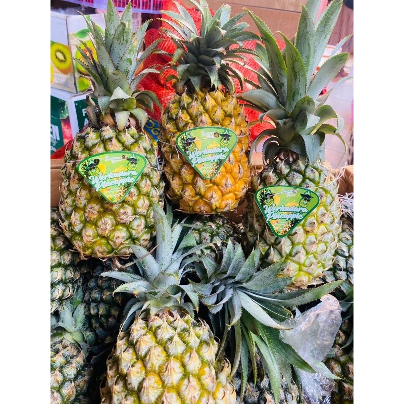 

PROMO Nanas Madu MANIES SEGAR Werkudoro Pineapple 1Pcs Uk Besar IGNACIOBOX