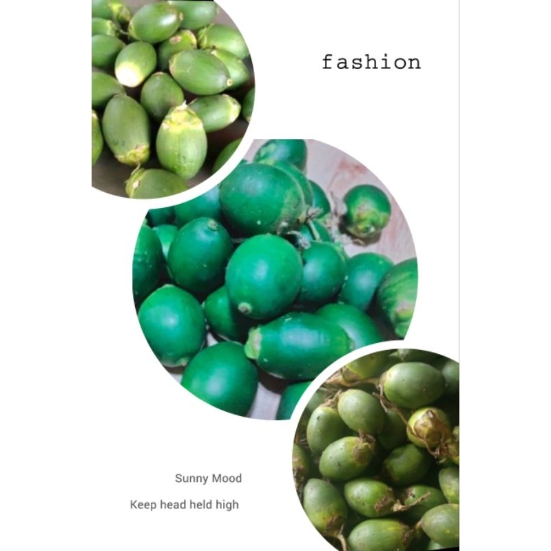 

promo buah pinang jambe muda segar 1kg