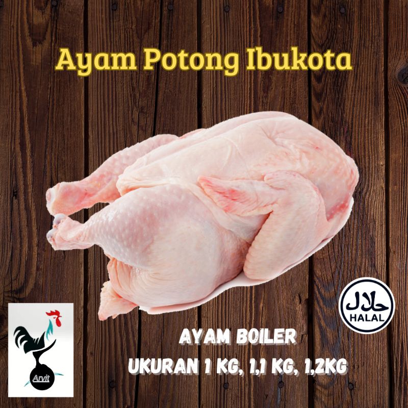 

ayam boiler 1kg-1,2kg