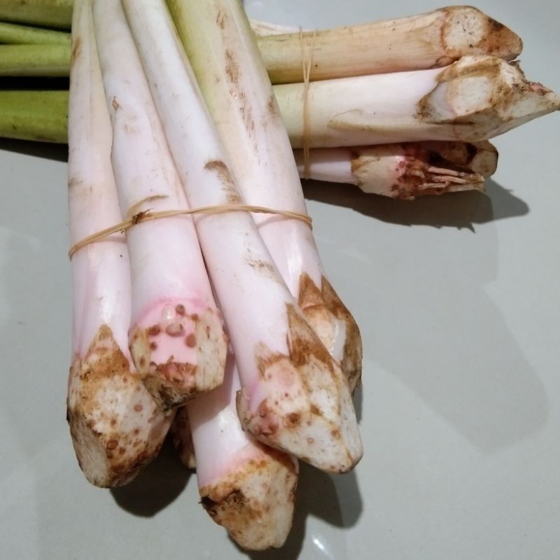 

Lompong Sayur Batang Talas Muda 1 Iket Isi 7 Pcs