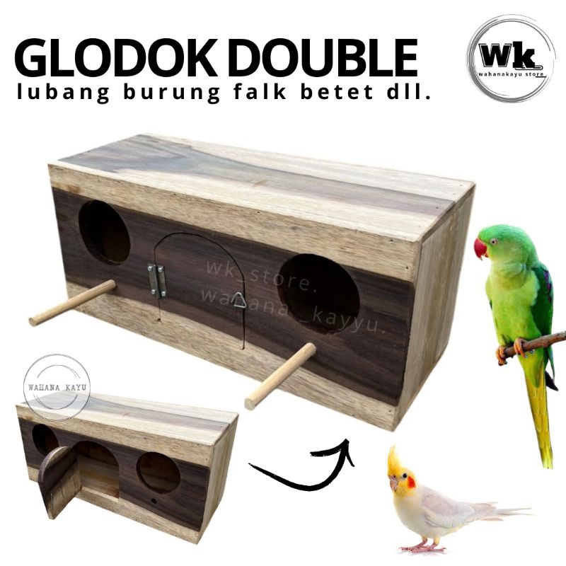 GLODOK BURUNG LUBANG DOUBLEE| GLODOK FALK BETET NURI NEW PRODUK