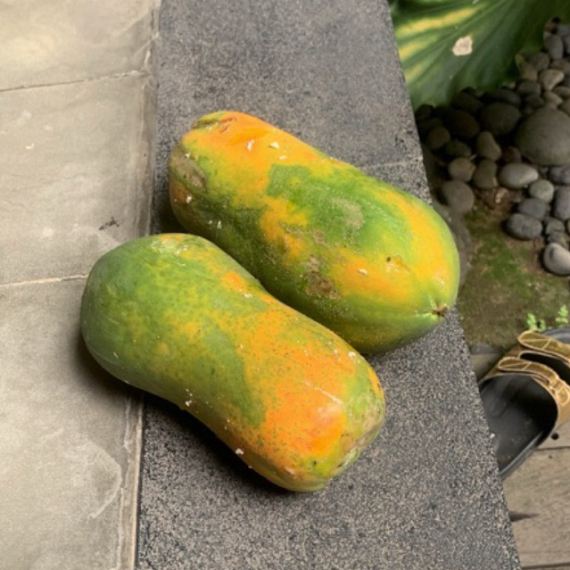 

Pepaya