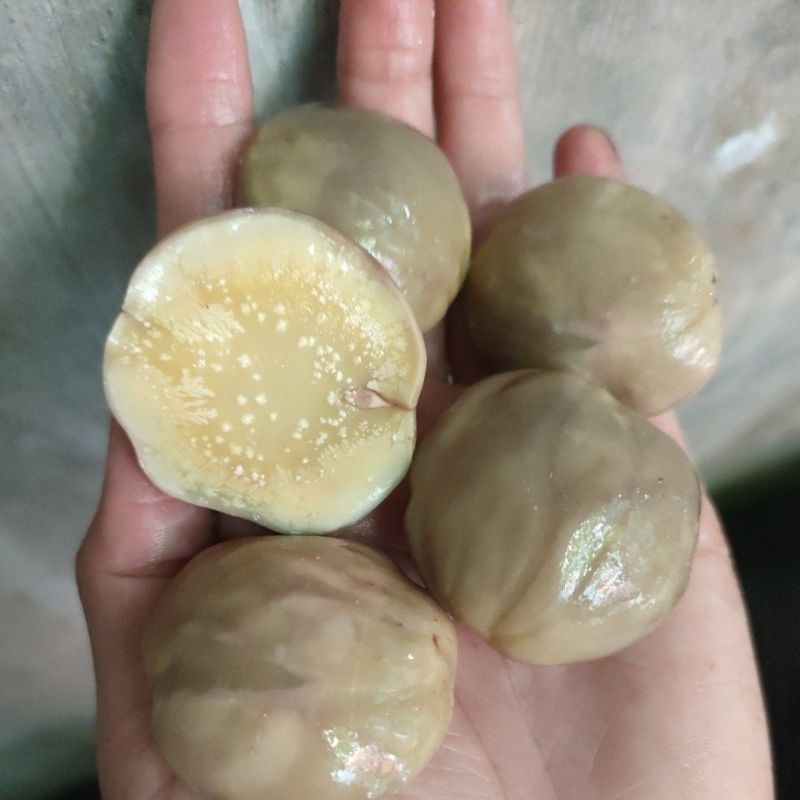 

Jengkol tua punel rebus,matang,sudah di rendam tinggal di masak