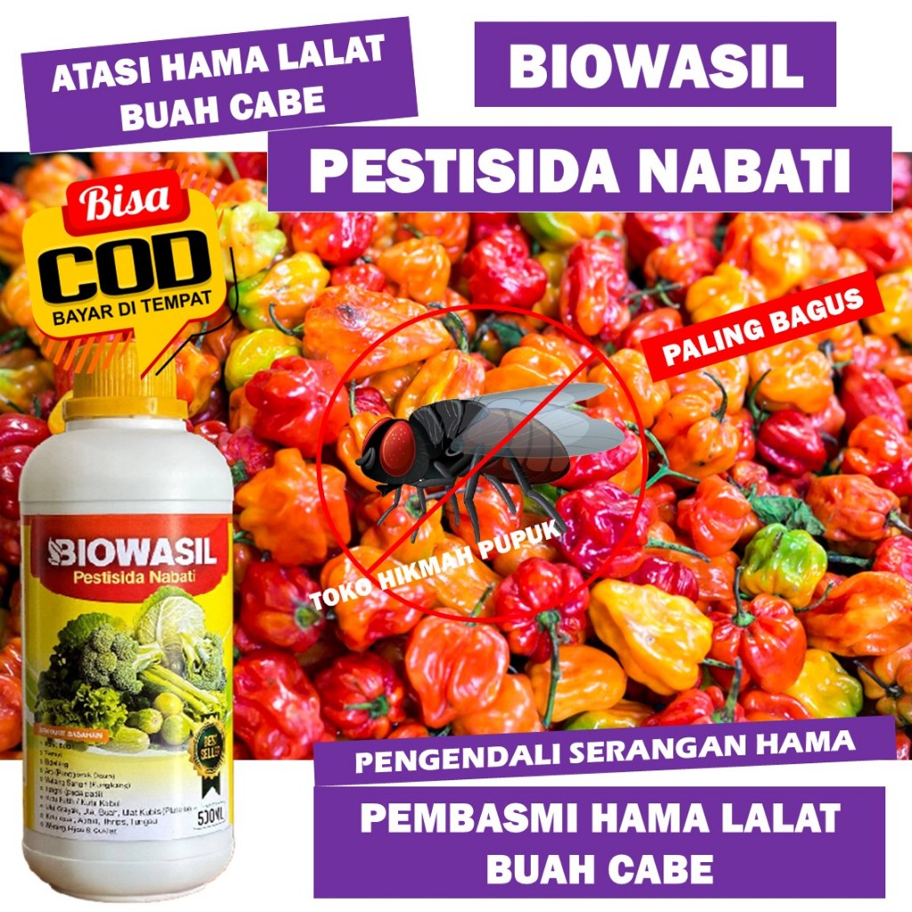 [COD MURAH] BIOWASIL ISI 500 ML OBAT LALAT BUAH CABAI PALING AMPUH, Pestisida Lalat Buah Pada Cabai 