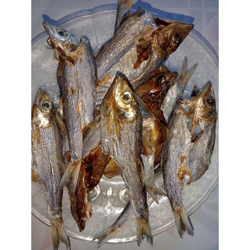 

IKAN TAMBAN BALAH