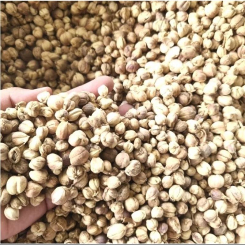 

100 GRAM KAPULAGA KERING / KAPULAGA LOKAL / KAPOL KERING / CARDAMON