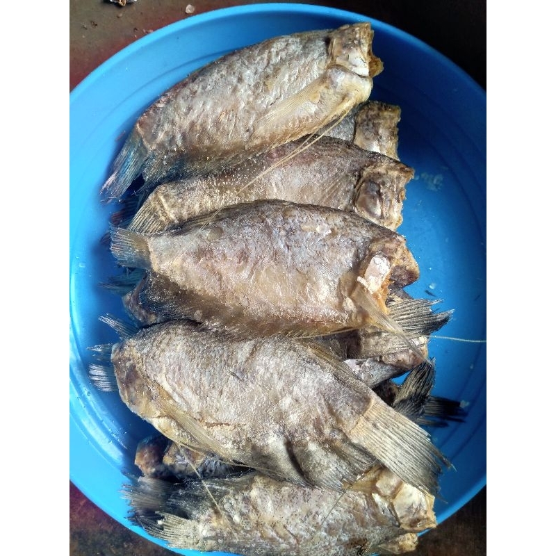 

ikan asin sepat
