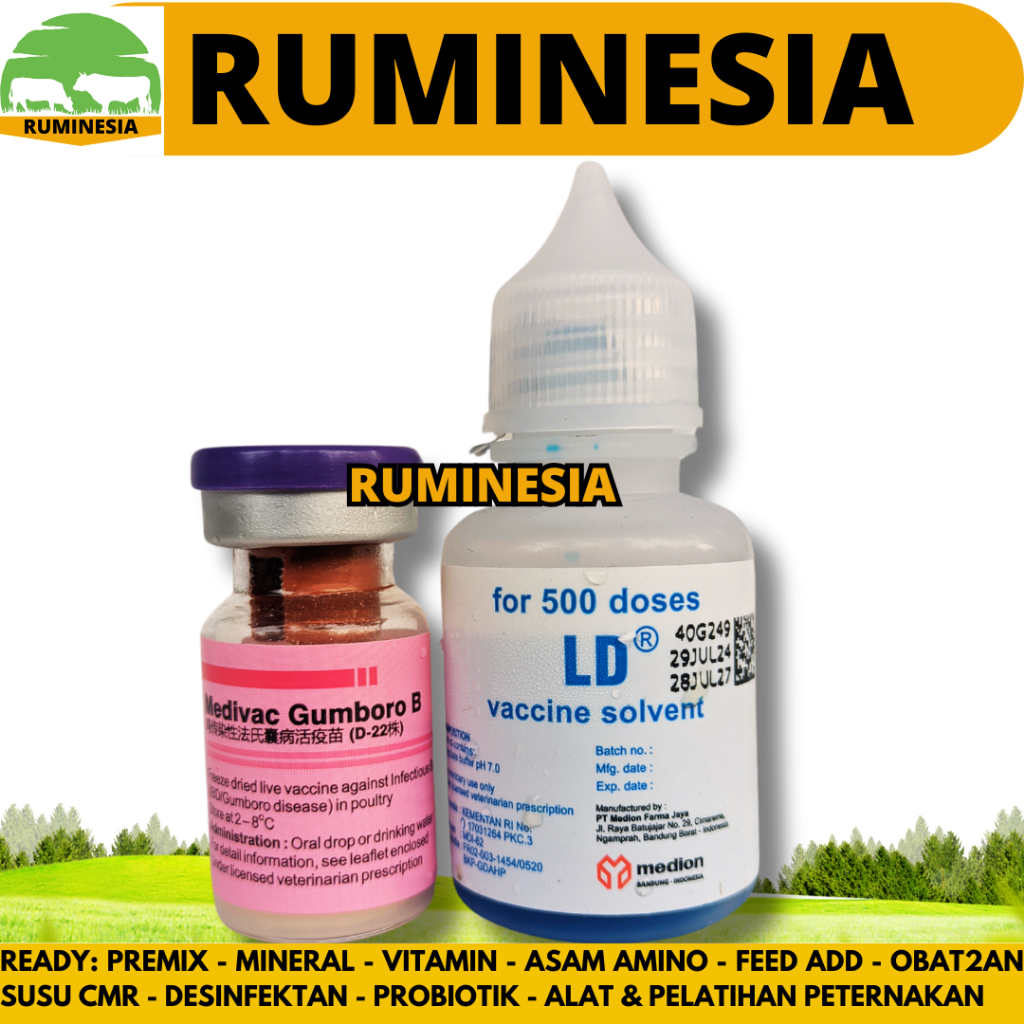 VAKSIN MEDIVAC GUMBORO B 500 DOSIS + PELARUT - Vaksin Gumboro IBD Aratan Ayam Burung Unggas