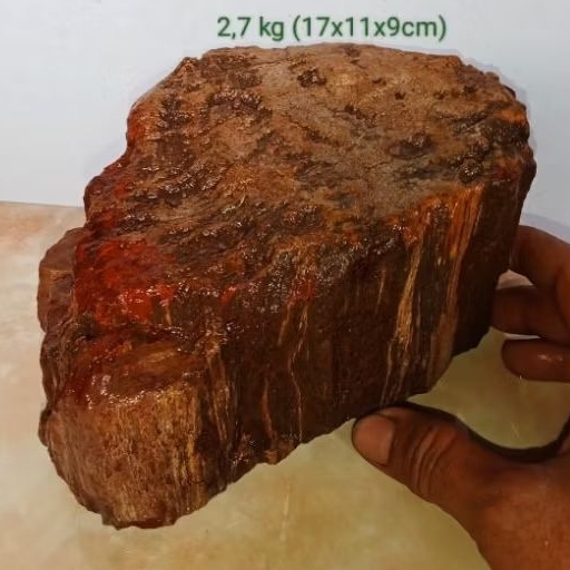 batu akik bahan fosil aren (719)