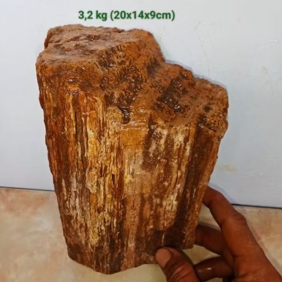 batu akik bahan fosil aren (718)